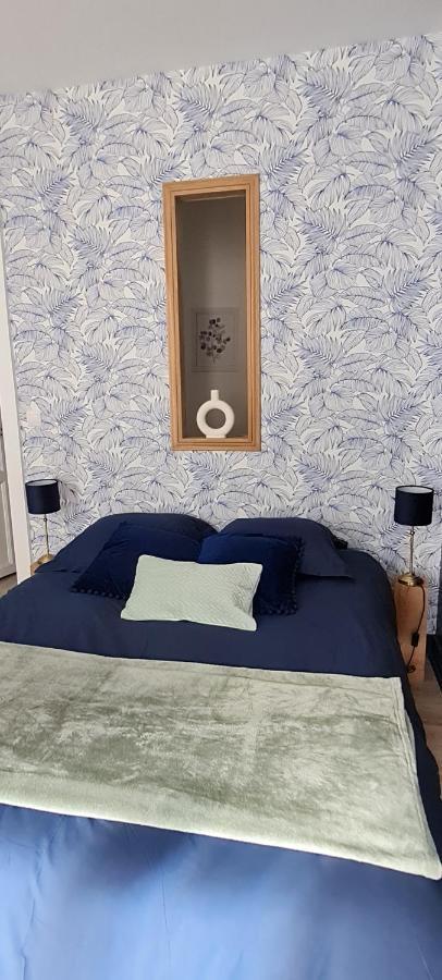 Studio 4 Personnes Aux Pieds Du Chateau De Blois Avec Experience De Dormir Sous Les Aurores Boreales Luaran gambar